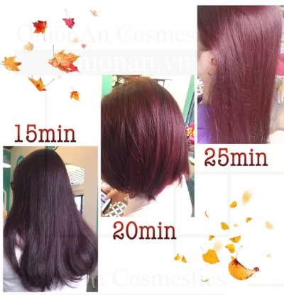 Hộp 5 Gói Thuốc Nhuộm Tóc Thảo Dược Dyeing Pyeonan (Nâu Đen)